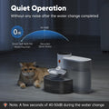 Petgravity Smart Pet Water Fountain - Freshness in Every Drop. Intelligence in Every Flow.