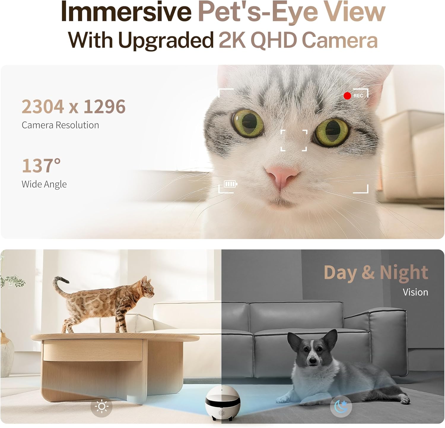 EBO ROLA Mini - Your Family, Connected. Your Pets, Never Alone.