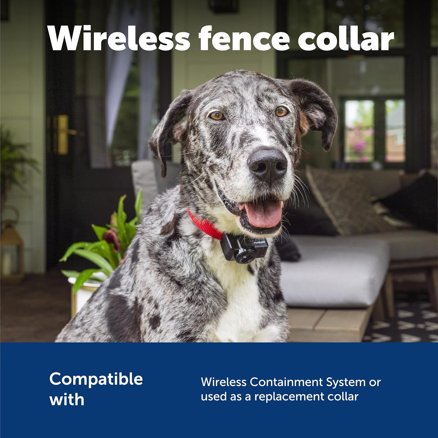 PetSafe Wireless Receiver Collar - Boundary Freedom. Total Peace of Mind.