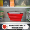 Collapsible Silicone Pizza Container